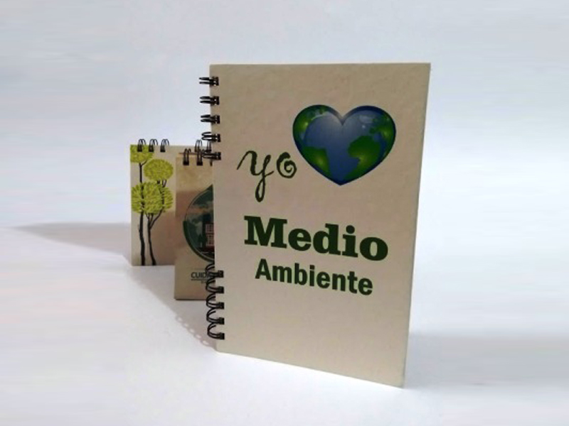 LÁPICES ECOLÓGICOS