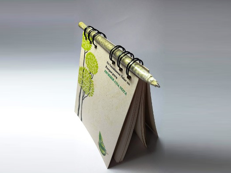 Lapiceros Ecólogicos