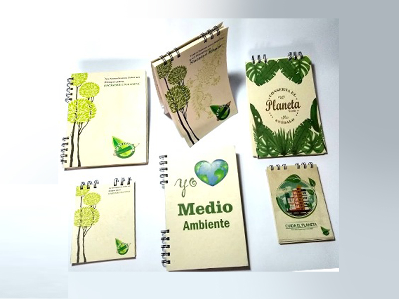 LÁPICES ECOLÓGICOS